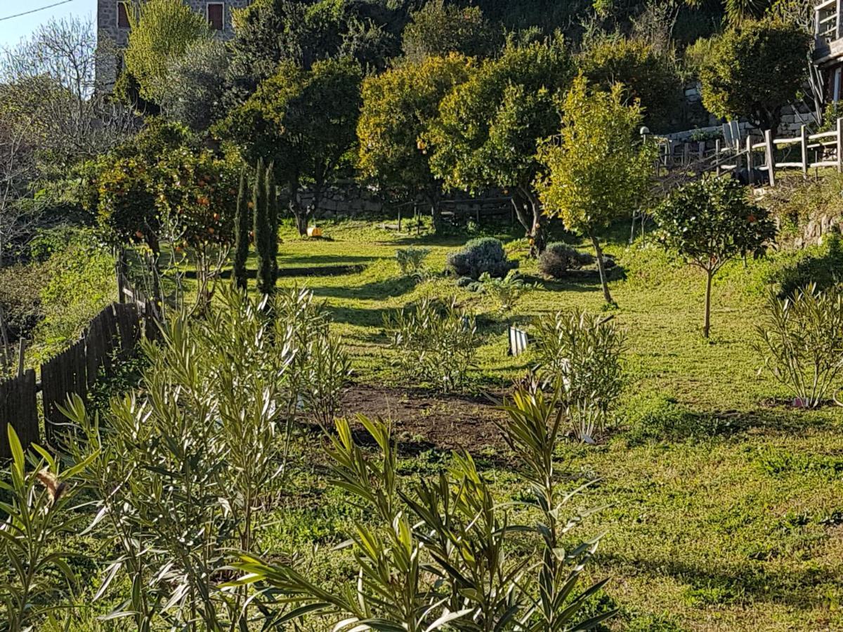 Pila-Canale La Villa Guidi מראה חיצוני תמונה